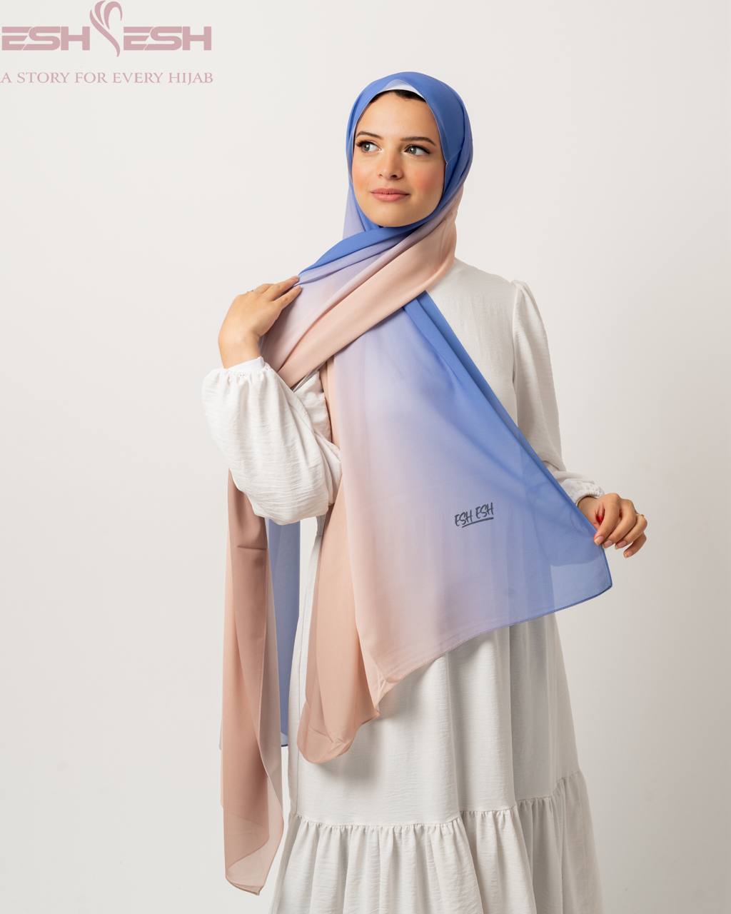 Printed Chiffon Scarf